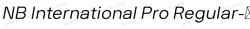 NB International Pro Regular字体转换